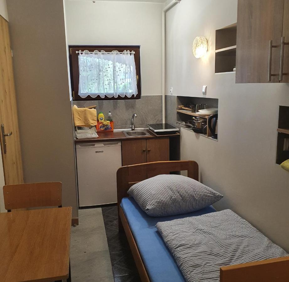 טיצ'י Noclegi Silesia Aster חדר תמונה